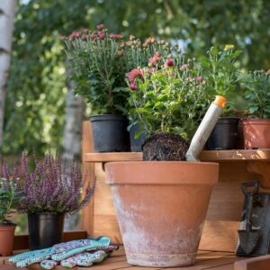 Curso de Técnico Especialista en Jardinería